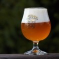 Plzeňský Prazdroj a Pivovar Matuška představily společné pivo MY